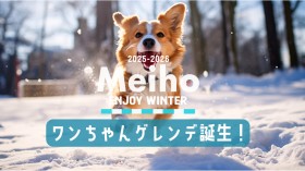 A doggie slope has arrived!